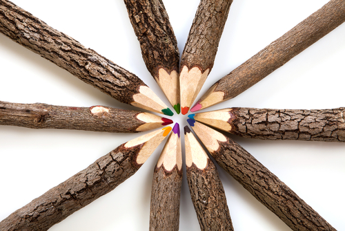 wooden colored pencils image via Shutterstock
