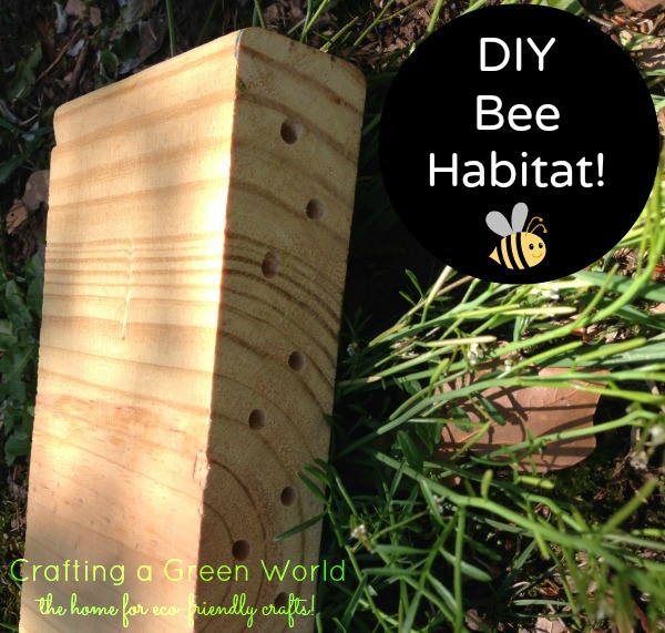 Build a Native Bee Habitat from Scrap Wood 3.31.57 PM