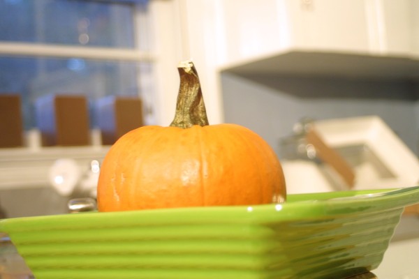 Thanksgiving Recipes: How to Make Homemade Pumpkin Puree
