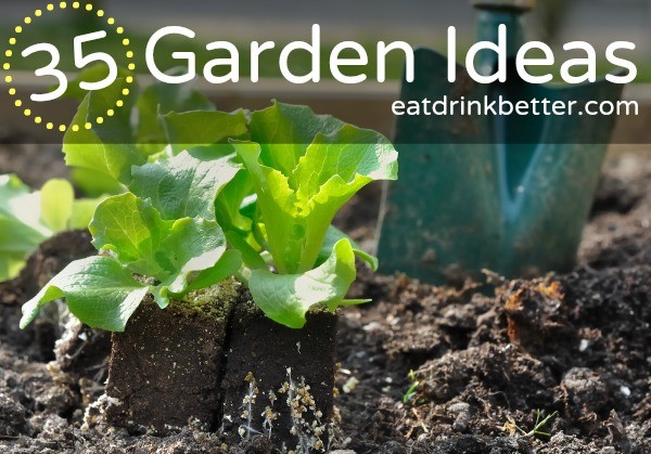 DIY Garden Ideas on a Budget