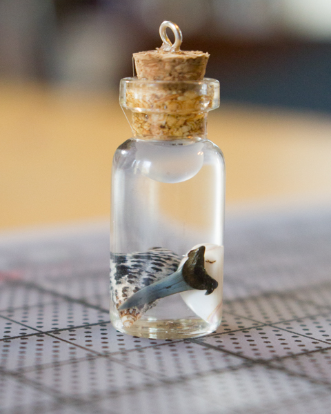 Make a treasure in a bottle charm necklace to preserve your favorite beachy finds!