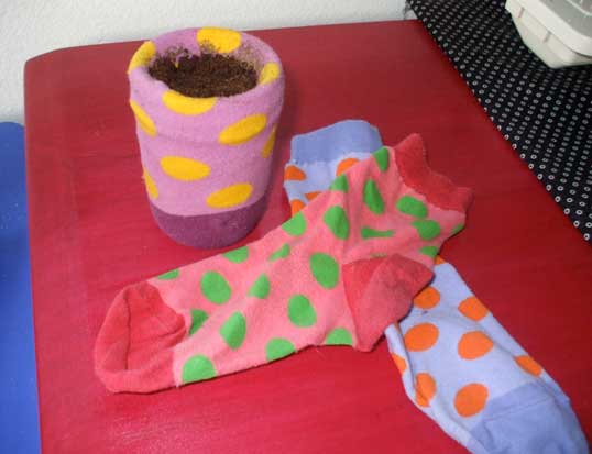 Use Mateless Socks To Spice Up Planters