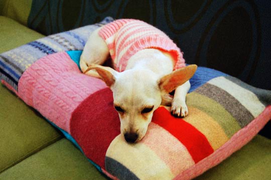 patchwork quilt dog bed made from old sweaters