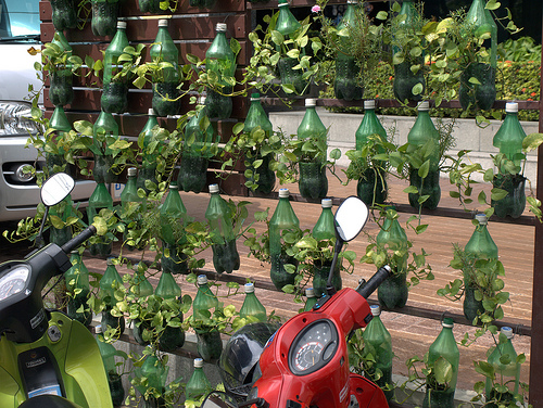 plastic bottled plants in bangkok