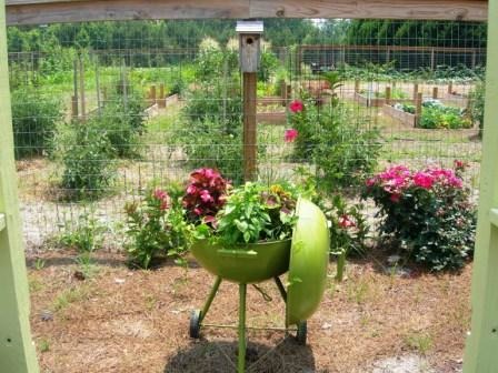 Upcycled and Unique Garden Ideas for Spring