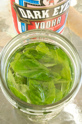 How to Make Homemade Mint Extract - Read on to see this easy, nearly effortless way to make as much of your own mint extract as you could ever want!