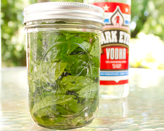 homemade mint extract, ready to steep in a dark place
