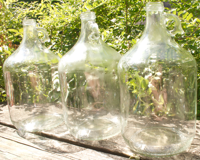 glass jugs with sticky labels removed