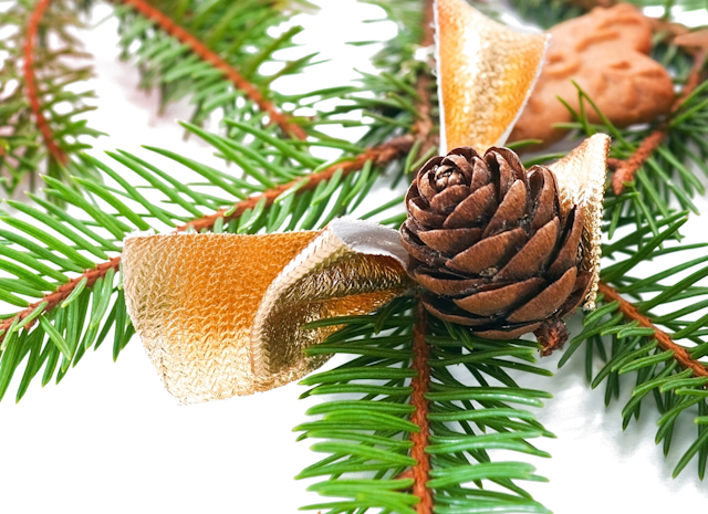 pine cone and cookie ornaments image via Shutterstock (1 of 1)