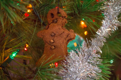cinnamon dough ornament