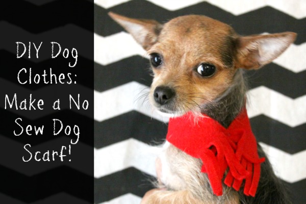DIY Dog Clothes: Make a No Sew Dog Scarf!