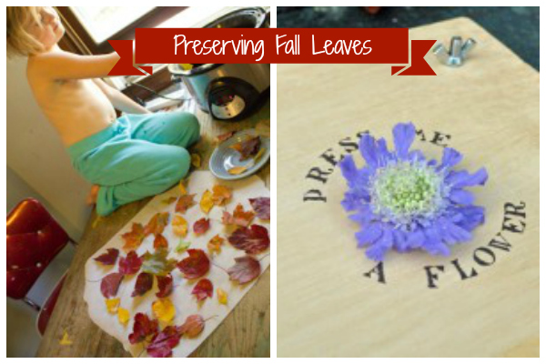 fall crafts preserving fall leaves
