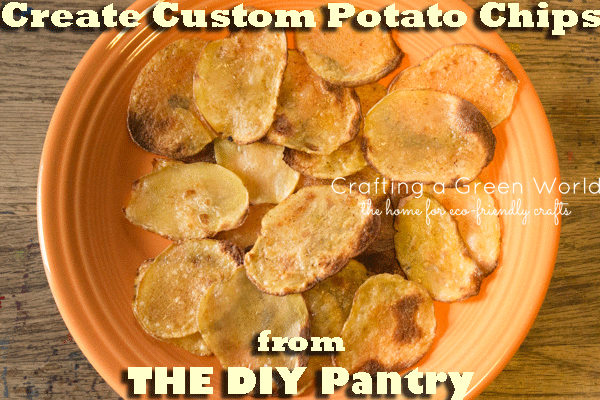 Create Custom Potato Chips from The DIY Pantry, by Kresha Faber