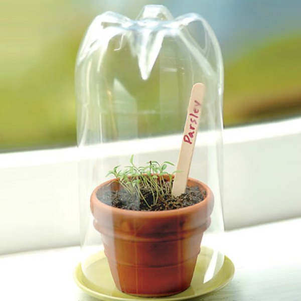 Spotted: Mini Greenhouse from a Plastic Bottle