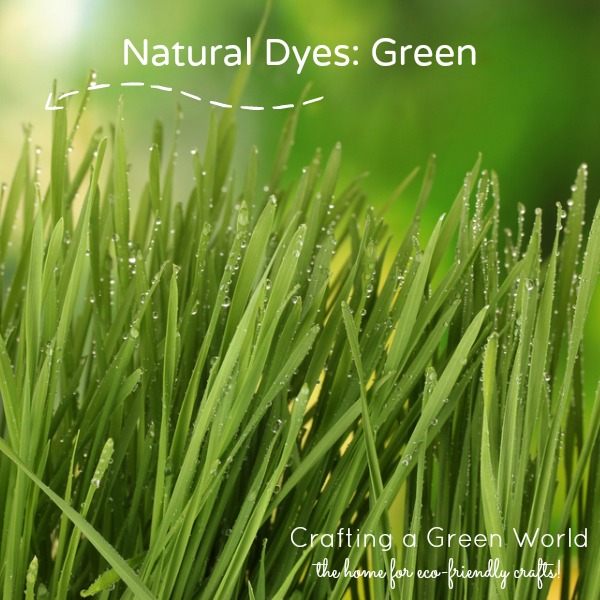 Natural Dyes: Green