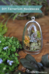 Terrarium Necklace DIY