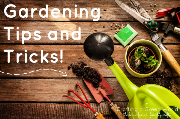 75 DIY Garden Projects to Make Your Green Space Awesome!