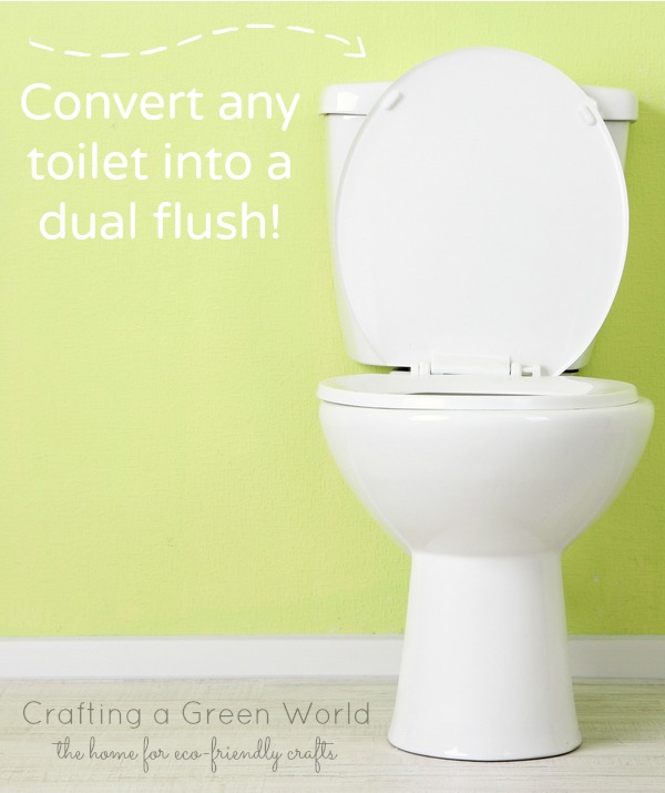 Convert Your Toilet to a Dual Flush Toilet