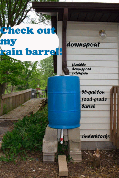 Though rain barrels are pretty much all the same concept, each one tends to be put together in its own way. This is my DIY rain barrel and how we built it.