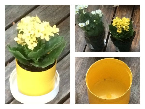 Don't toss the caps from your bottle of laundry detergent and spray paint! Turn them into mini DIY flower pots instead!