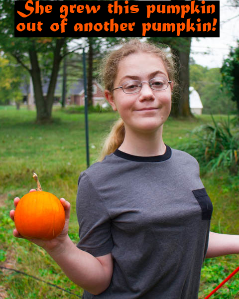 How to Grow a Pumpkin out of Another Pumpkin