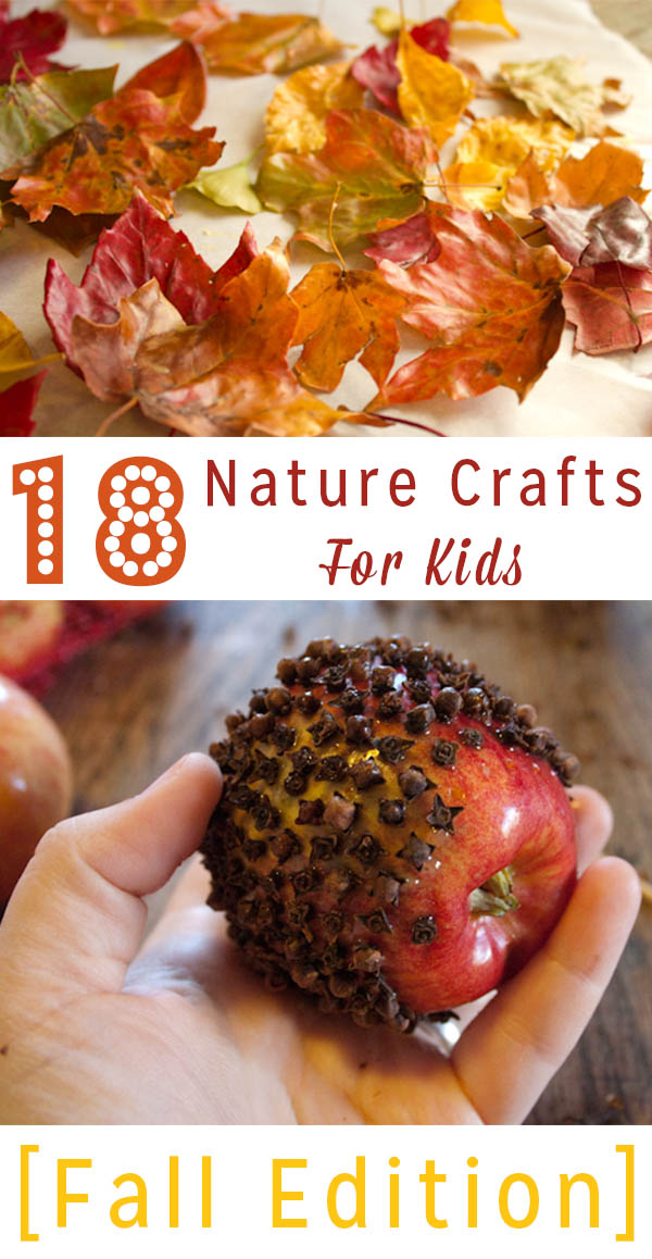 Do you love fall as much as I do? Try some of my favorite fall nature crafts for kids! There are options for an array of age groups.
