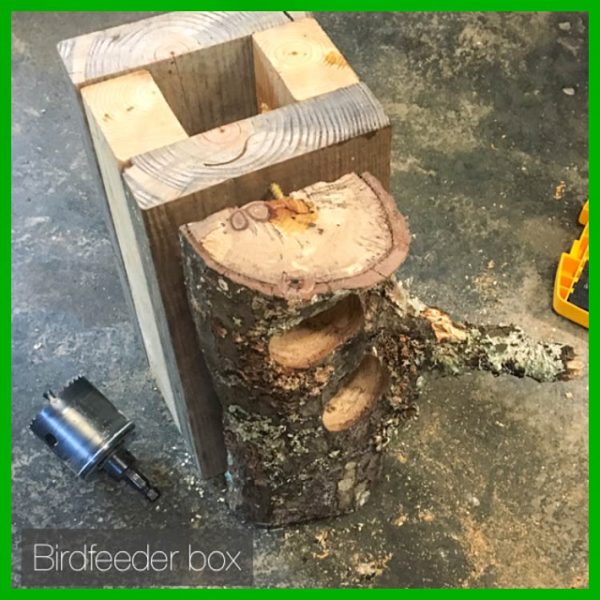 Have summer storms done a number on the big trees where you live? Grab a large, fallen branch, and turn it into a cool DIY bird feeder!