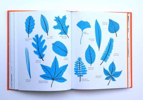 Outside: A Guide to Discovering Natures is a nature book that's perfect for any kid who loves crafting with natural materials or just playing outdoors.