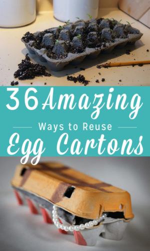 There are LOTS of really cool ways to reuse egg cartons! Here are 36 amazing reasons to save empty egg cartons instead of throwing them away.
