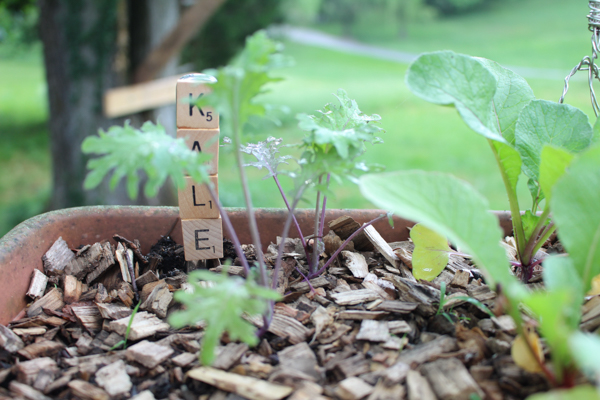 plant markers made with scrabble tiles and a butter knife