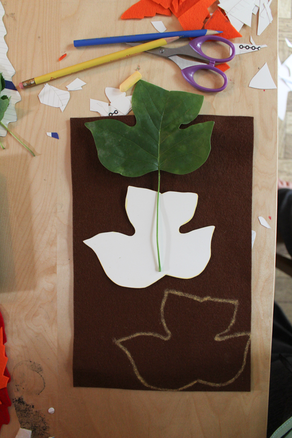 leaf and cardstock on top of felt