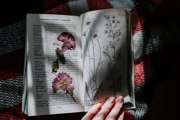 pressed flowers and book