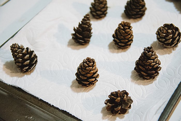 prepped pine cones