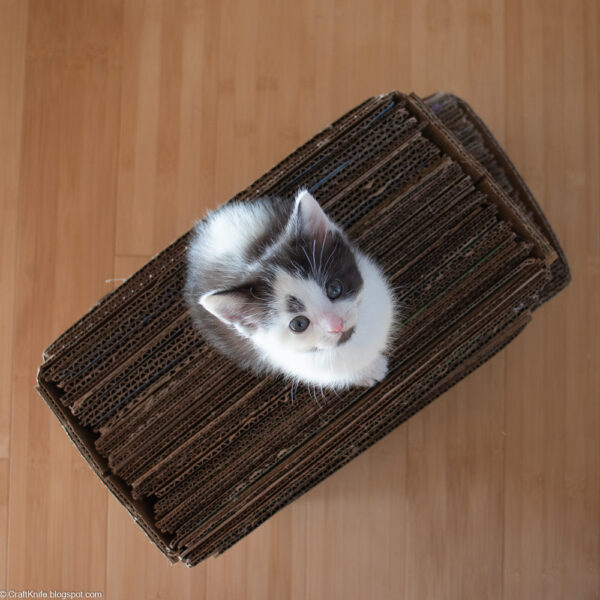Corrugated Cardboard Box Cat Scratcher