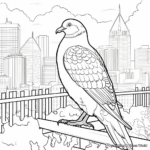 audubon pigeon coloring pages: city bird series coloring page