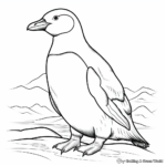 child-friendly audubon penguin coloring pages coloring page