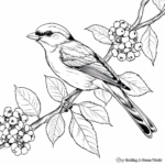 exquisite audubon bird coloring pages coloring page