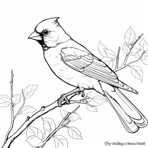 Audubon Bird Coloring Pages - Free &amp; Printable!
