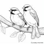 A Pair of Lovely Chickadee Coloring Pages 2
