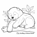 A Sleeping Sun Bear Coloring Pages 4