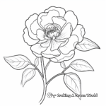 Abstract Art Peony Coloring Pages 4