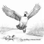 Action Packed Canada Geese Landing Coloring Pages 2