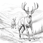 Action-Packed Mule Deer Chase Coloring Pages 1