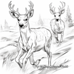Action-Packed Mule Deer Chase Coloring Pages 4