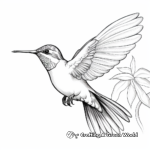 Action-Packed Rufous Hummingbird Coloring Pages 2