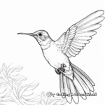Action-Packed Rufous Hummingbird Coloring Pages 4