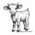 Adorable Baby Cow Coloring Pages 1