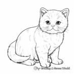 Adorable British Shorthair Coloring Pages 1