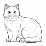 Adorable British Shorthair Coloring Pages 4