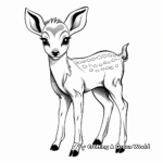 Adorable White Tailed Deer Fawn Coloring Page 1